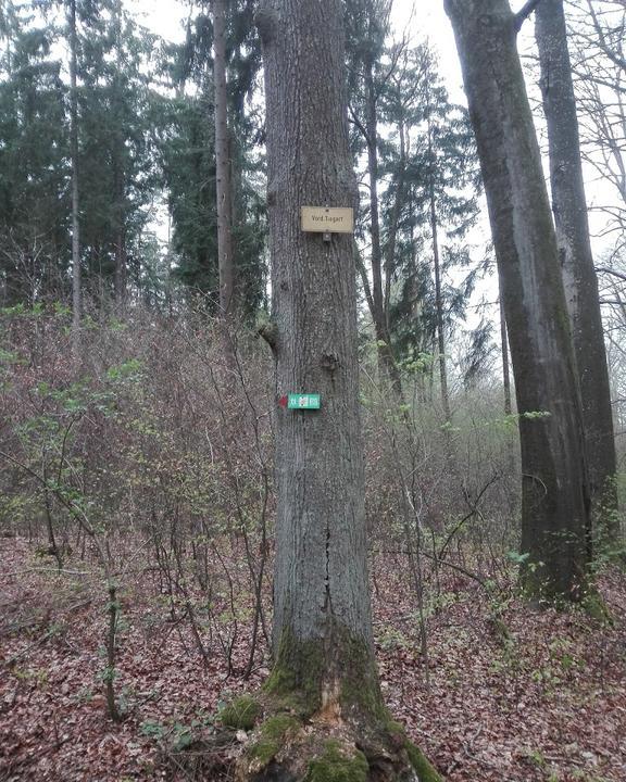 Waldgaststatte Mutschach