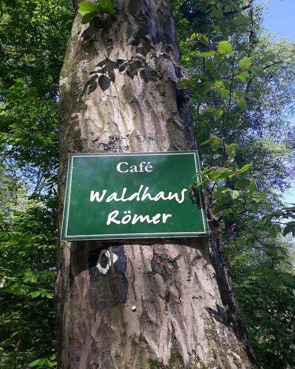 Waldhaus Romer